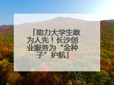 助力大学生敢为人先！长沙创业服务为“金种子”护航