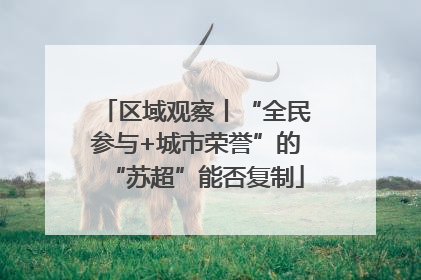 区域观察丨“全民参与+城市荣誉”的“苏超”能否复制