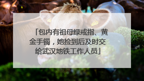 包内有祖母绿戒指、黄金手镯，她捡到后及时交给武汉地铁工作人员