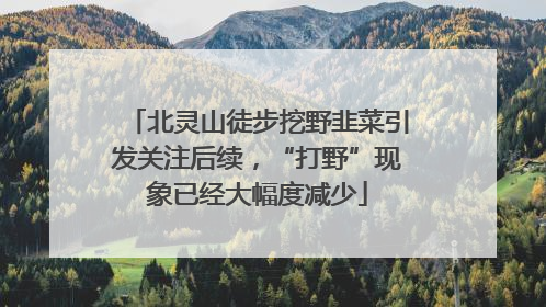 北灵山徒步挖野韭菜引发关注后续，“打野”现象已经大幅度减少
