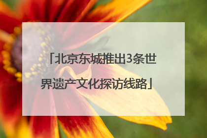 北京东城推出3条世界遗产文化探访线路