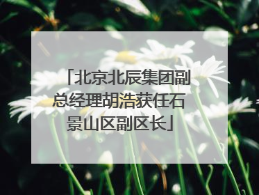 北京北辰集团副总经理胡浩获任石景山区副区长
