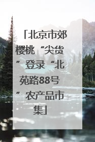 北京市郊樱桃“尖货”登录“北苑路88号”农产品市集