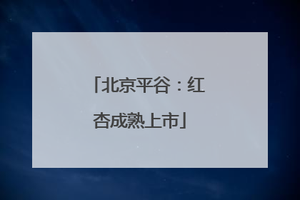 北京平谷：红杏成熟上市