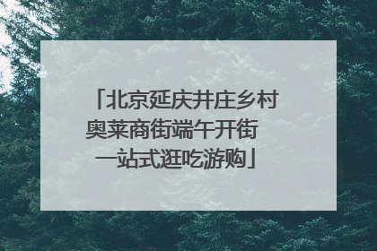 北京延庆井庄乡村奥莱商街端午开街 一站式逛吃游购