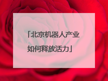 北京机器人产业如何释放活力