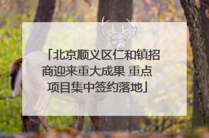 北京顺义区仁和镇招商迎来重大成果 重点项目集中签约落地