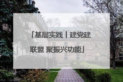 基层实践丨建党建联盟 聚振兴功能