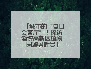 城市的“夏日会客厅”！探访淄博高新区植物园避暑胜景