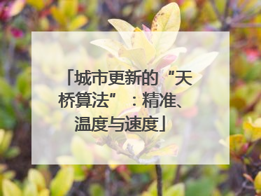 城市更新的“天桥算法”：精准、温度与速度