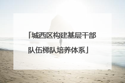 城西区构建基层干部队伍梯队培养体系