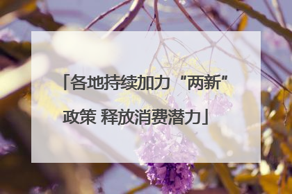 各地持续加力“两新”政策 释放消费潜力