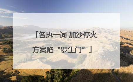 各执一词 加沙停火方案陷“罗生门”