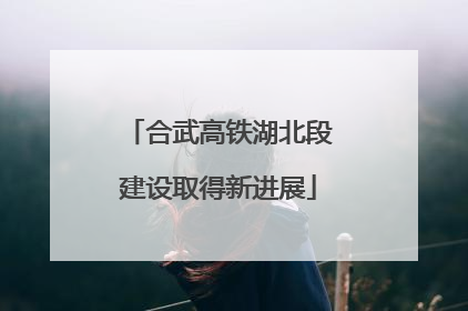 合武高铁湖北段建设取得新进展