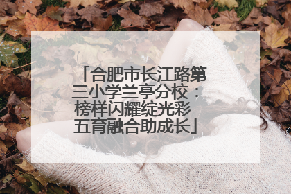 合肥市长江路第三小学兰亭分校：榜样闪耀绽光彩 五育融合助成长