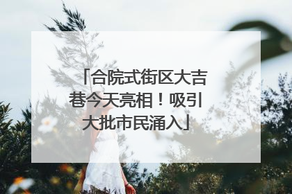 合院式街区大吉巷今天亮相！吸引大批市民涌入