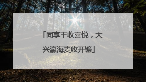 同享丰收喜悦，大兴瀛海麦收开镰