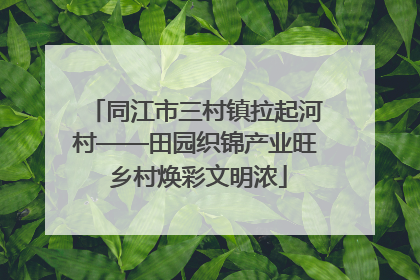 同江市三村镇拉起河村——田园织锦产业旺 乡村焕彩文明浓