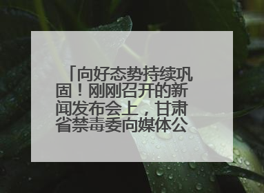 向好态势持续巩固！刚刚召开的新闻发布会上，甘肃省禁毒委向媒体公布三年禁毒工作“成绩单”