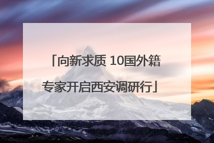 向新求质 10国外籍专家开启西安调研行