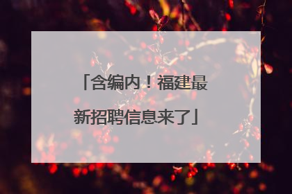 含编内！福建最新招聘信息来了