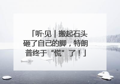 听·见｜搬起石头砸了自己的脚，特朗普终于“慌”了！