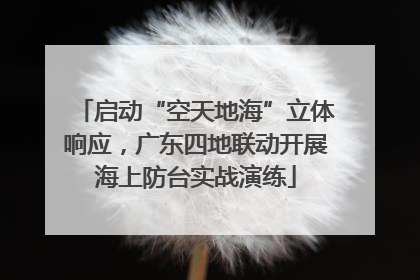 启动“空天地海”立体响应，广东四地联动开展海上防台实战演练