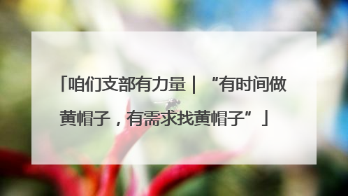 咱们支部有力量｜“有时间做黄帽子，有需求找黄帽子”
