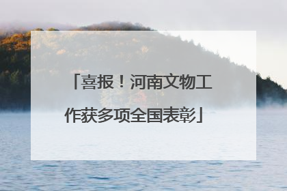 喜报！河南文物工作获多项全国表彰