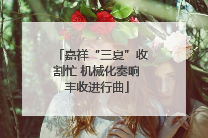 嘉祥“三夏”收割忙 机械化奏响丰收进行曲