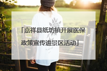 嘉祥县纸坊镇开展医保政策宣传进景区活动