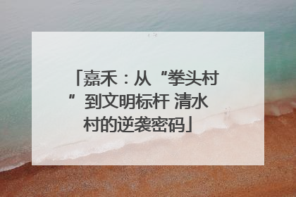 嘉禾：从“拳头村”到文明标杆 清水村的逆袭密码