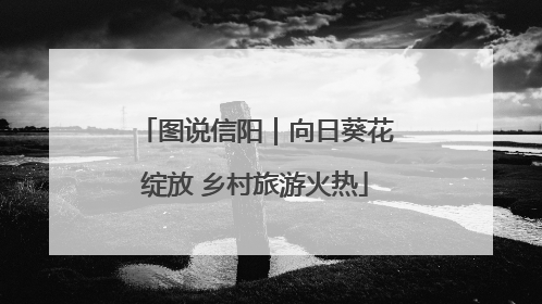 图说信阳｜向日葵花绽放 乡村旅游火热