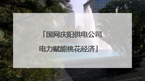 国网庆阳供电公司电力赋能桃花经济