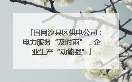 国网沙县区供电公司：电力服务“及时雨”，企业生产“动能强”