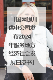 国网银川供电公司发布2024年服务地方经济社会发展白皮书