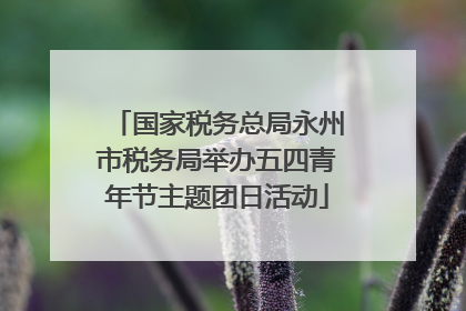 国家税务总局永州市税务局举办五四青年节主题团日活动
