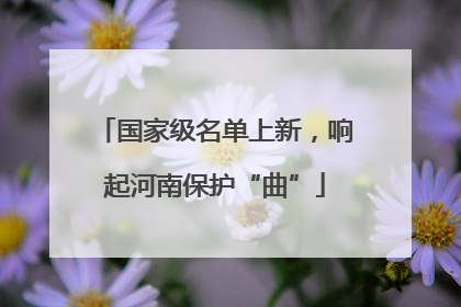 国家级名单上新，响起河南保护“曲”