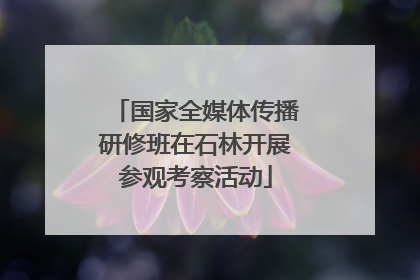 国家全媒体传播研修班在石林开展参观考察活动