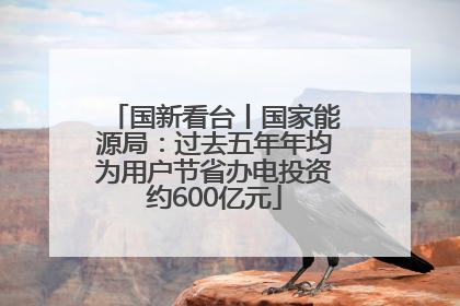 国新看台丨国家能源局：过去五年年均为用户节省办电投资约600亿元