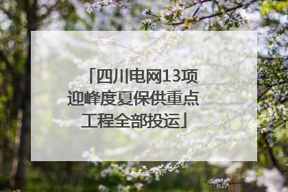 四川电网13项迎峰度夏保供重点工程全部投运