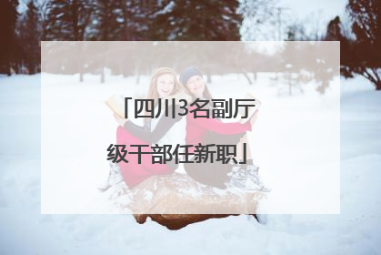 四川3名副厅级干部任新职
