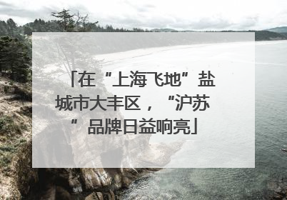 在“上海飞地”盐城市大丰区，“沪苏”品牌日益响亮