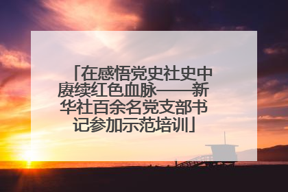 在感悟党史社史中赓续红色血脉——新华社百余名党支部书记参加示范培训