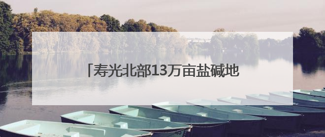 寿光北部13万亩盐碱地迈向高产田：八年改碱夺粮，盐碱滩拱起“金粮仓”