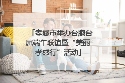 孝感市举办台胞台属端午联谊暨“美丽孝感行”活动
