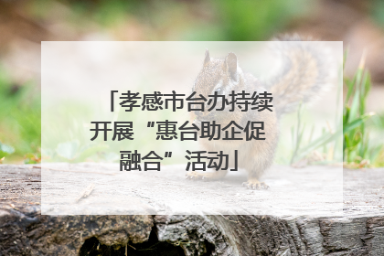 孝感市台办持续开展“惠台助企促融合”活动