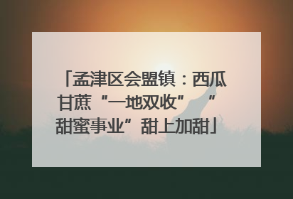 孟津区会盟镇：西瓜甘蔗“一地双收” “甜蜜事业”甜上加甜