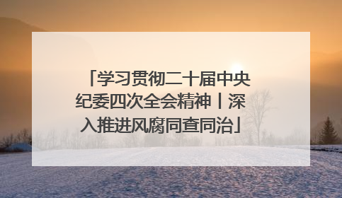 学习贯彻二十届中央纪委四次全会精神丨深入推进风腐同查同治