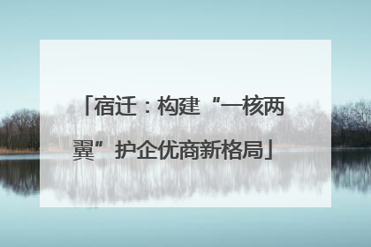 宿迁：构建“一核两翼”护企优商新格局